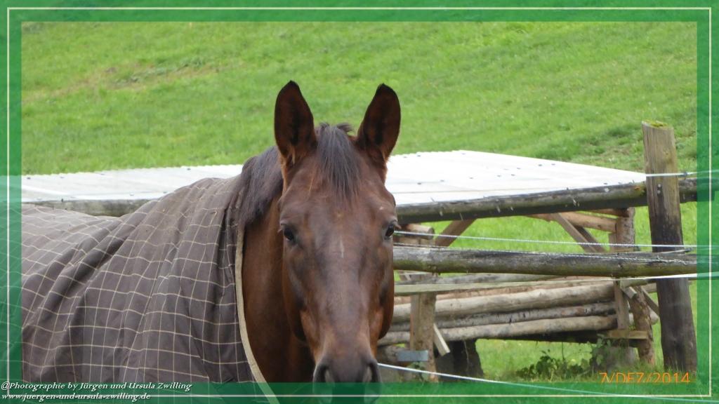 Philosophische Bildwanderung Panoramaweg Erbach - Michelstadt - Grafenschloss,Fachwerk und Panorama - Odenwald