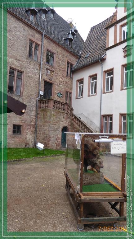 Philosophische Bildwanderung Panoramaweg Erbach - Michelstadt - Grafenschloss,Fachwerk und Panorama - Odenwald