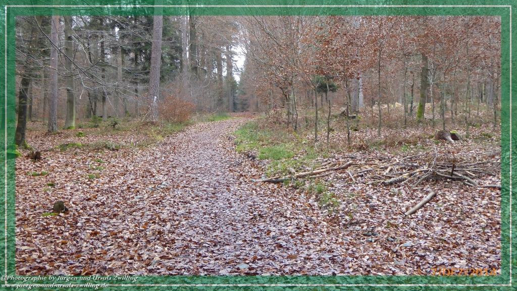 Philosophische Bildwanderung Panoramaweg Erbach - Michelstadt - Grafenschloss,Fachwerk und Panorama - Odenwald
