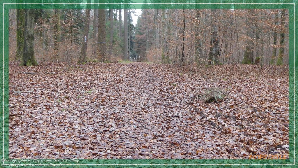 Philosophische Bildwanderung Panoramaweg Erbach - Michelstadt - Grafenschloss,Fachwerk und Panorama - Odenwald