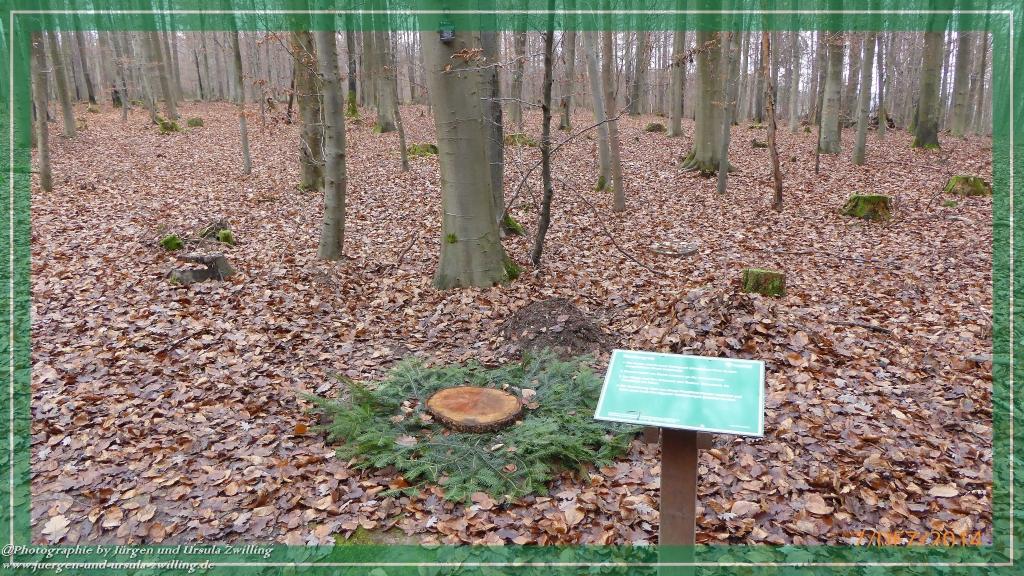 Philosophische Bildwanderung Panoramaweg Erbach - Michelstadt - Grafenschloss,Fachwerk und Panorama - Odenwald