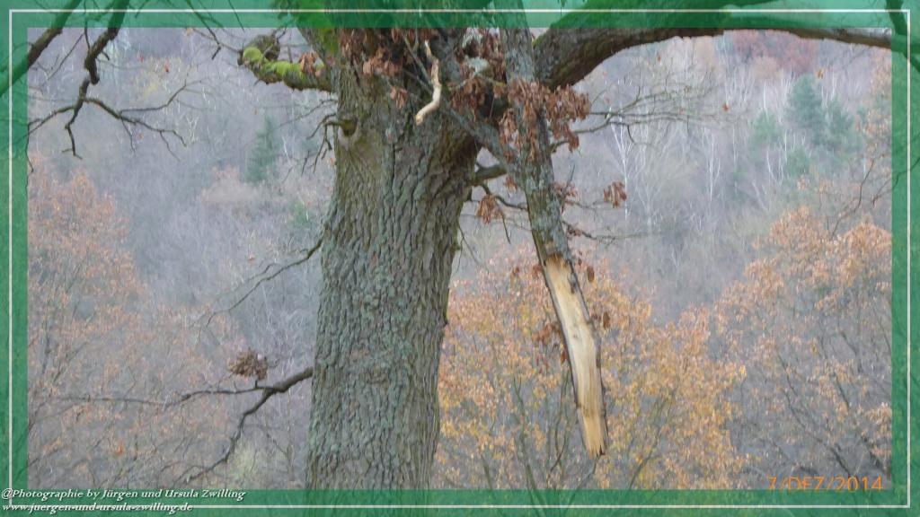 Philosophische Bildwanderung Panoramaweg Erbach - Michelstadt - Grafenschloss,Fachwerk und Panorama - Odenwald