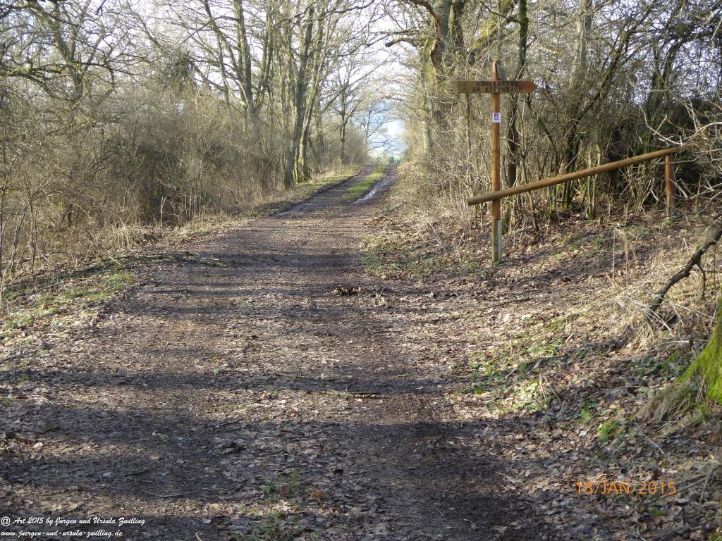 Philosophische Bildwanderung Traumschleife Köhlerpfad am Steinbach -Hunsrück