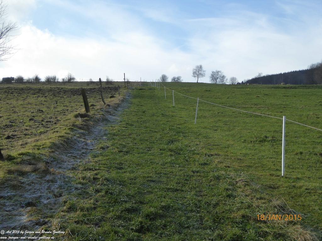 Philosophische Bildwanderung Traumschleife Köhlerpfad am Steinbach -Hunsrück