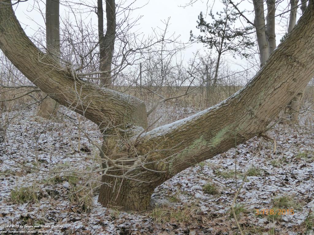 Philosophische Bildwanderung Timmendorfer Strand - Brodtener Steilufer - Travemünde Ostsee