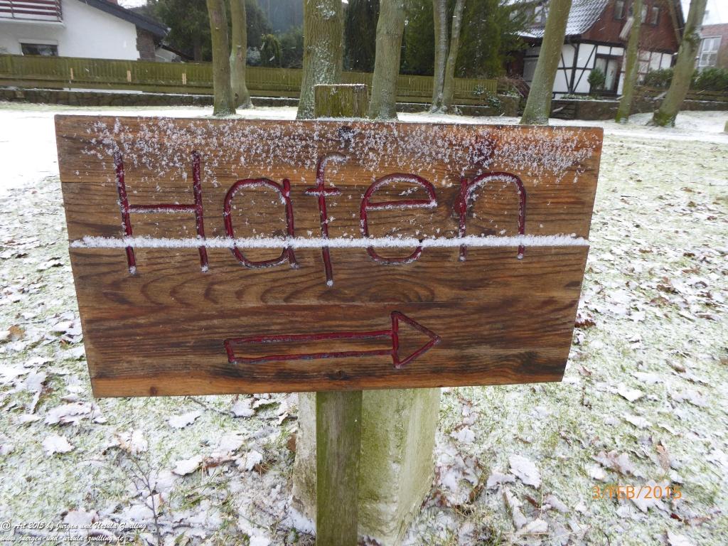Philosophische Bildwanderung Timmendorfer Strand - Brodtener Steilufer - Travemünde Ostsee