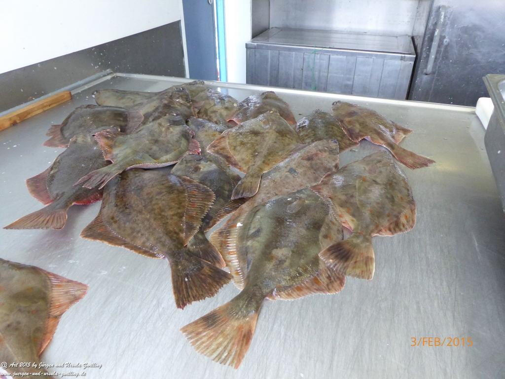 Philosophische Bildwanderung Timmendorfer Strand - Brodtener Steilufer - Travemünde Ostsee