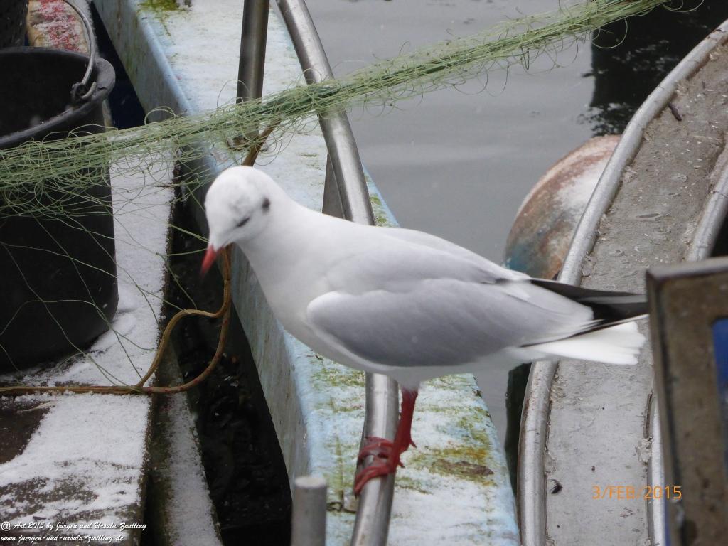 Philosophische Bildwanderung Timmendorfer Strand - Brodtener Steilufer - Travemünde Ostsee