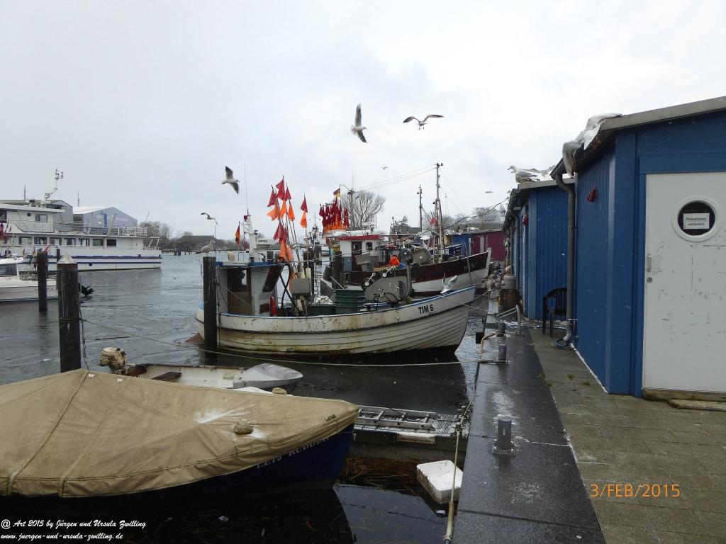 Philosophische Bildwanderung Timmendorfer Strand - Brodtener Steilufer - Travemünde Ostsee