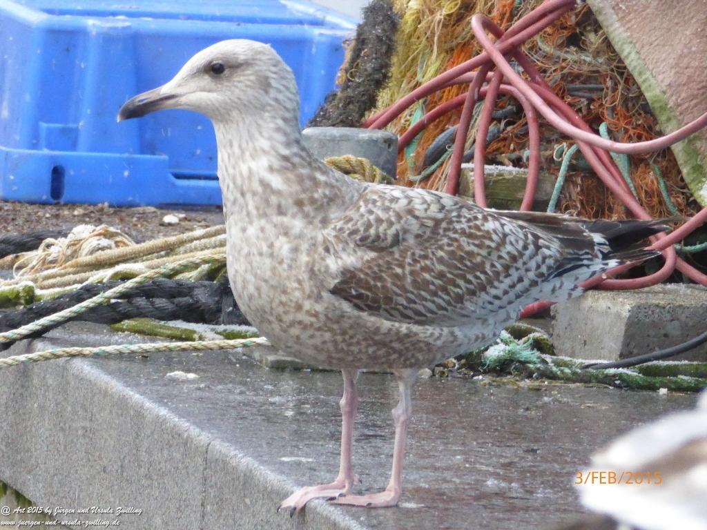 Philosophische Bildwanderung Timmendorfer Strand - Brodtener Steilufer - Travemünde Ostsee