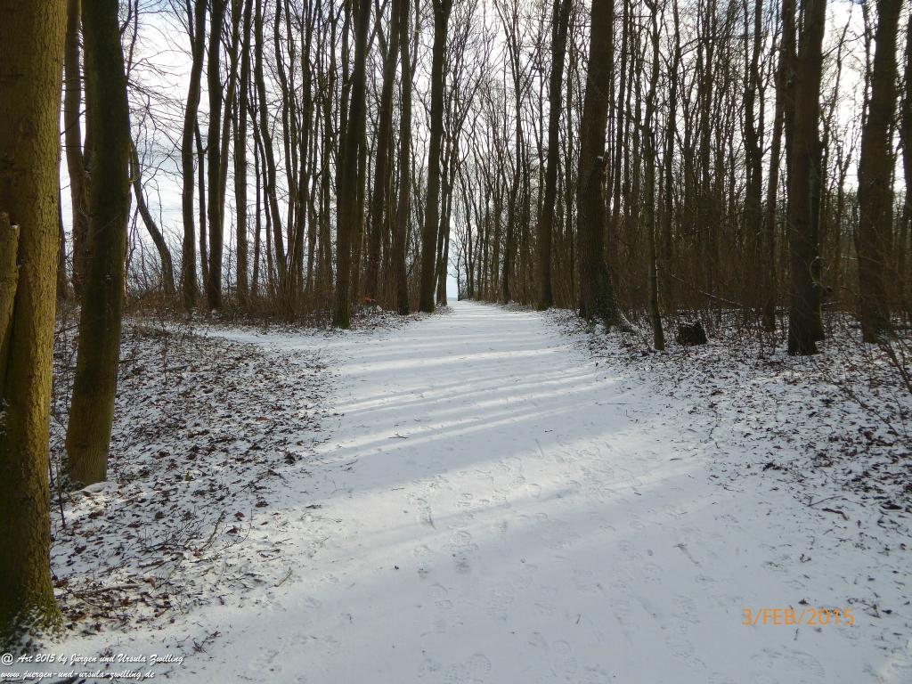 Philosophische Bildwanderung Timmendorfer Strand - Brodtener Steilufer - Travemünde Ostsee