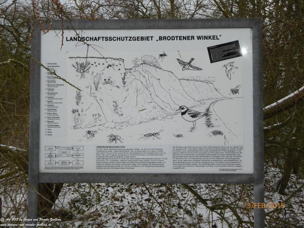 Philosophische Bildwanderung Timmendorfer Strand - Brodtener Steilufer - Travemünde Ostsee