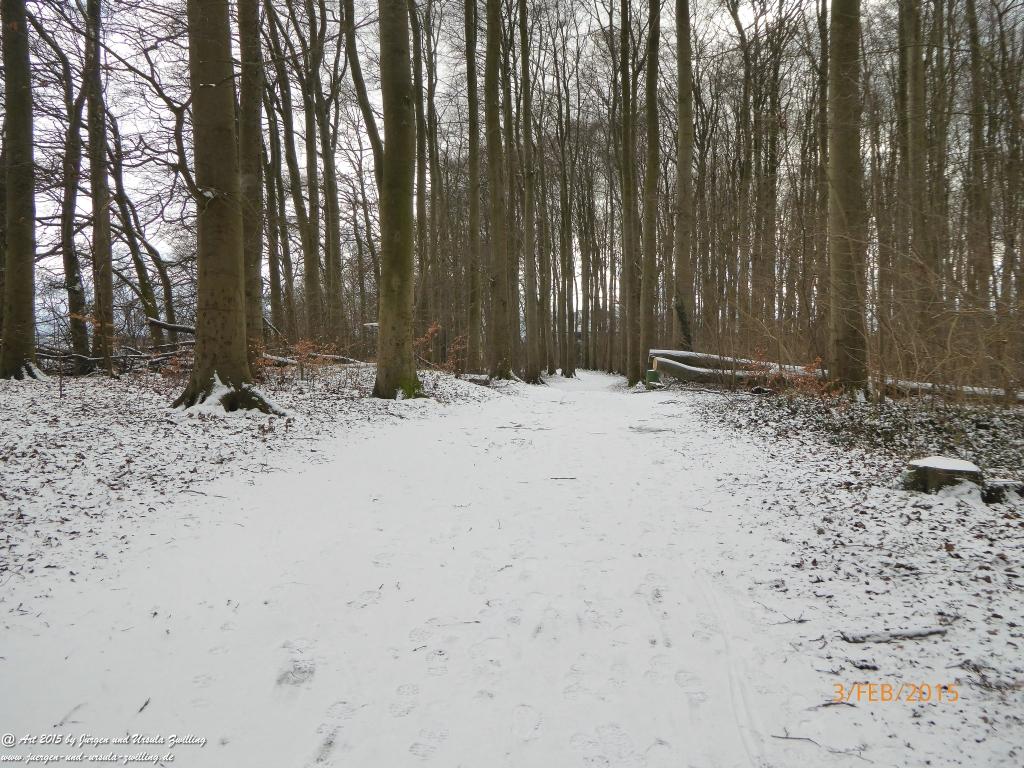 Philosophische Bildwanderung Timmendorfer Strand - Brodtener Steilufer - Travemünde Ostsee