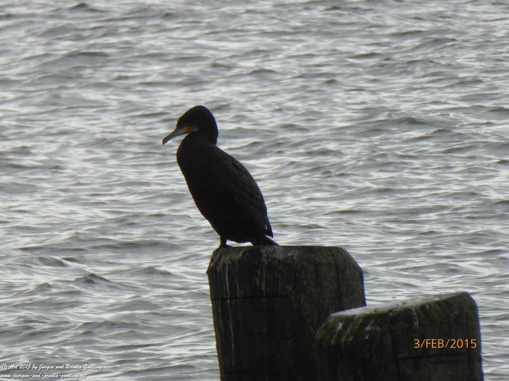 Philosophische Bildwanderung Timmendorfer Strand - Brodtener Steilufer - Travemünde Ostsee