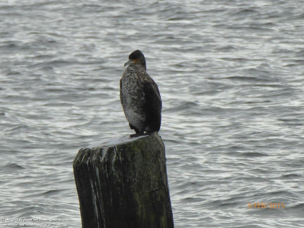 Philosophische Bildwanderung Timmendorfer Strand - Brodtener Steilufer - Travemünde Ostsee