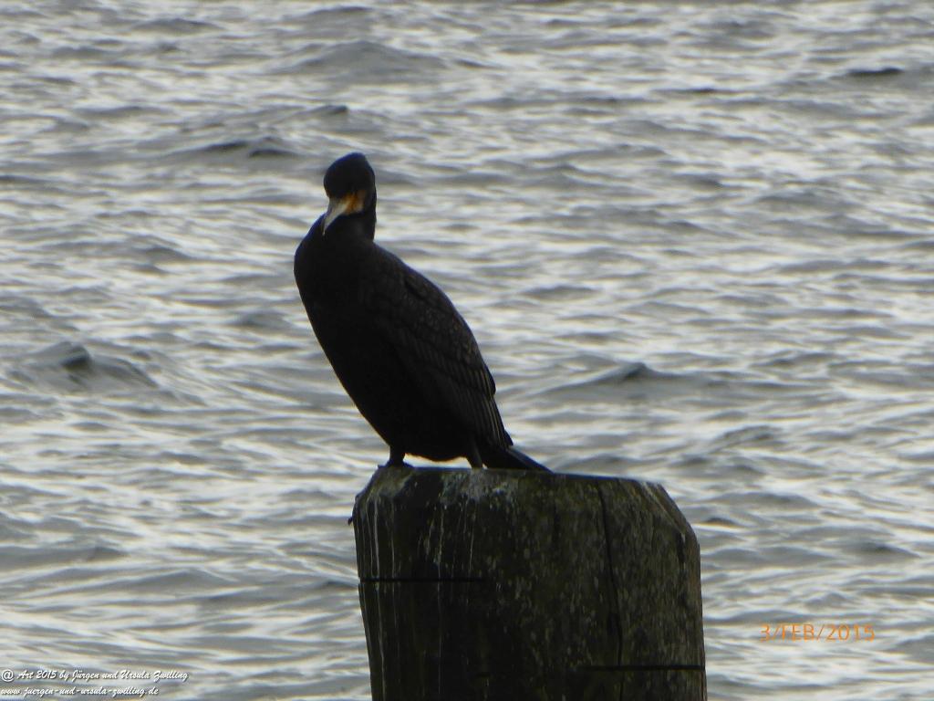 Philosophische Bildwanderung Timmendorfer Strand - Brodtener Steilufer - Travemünde Ostsee