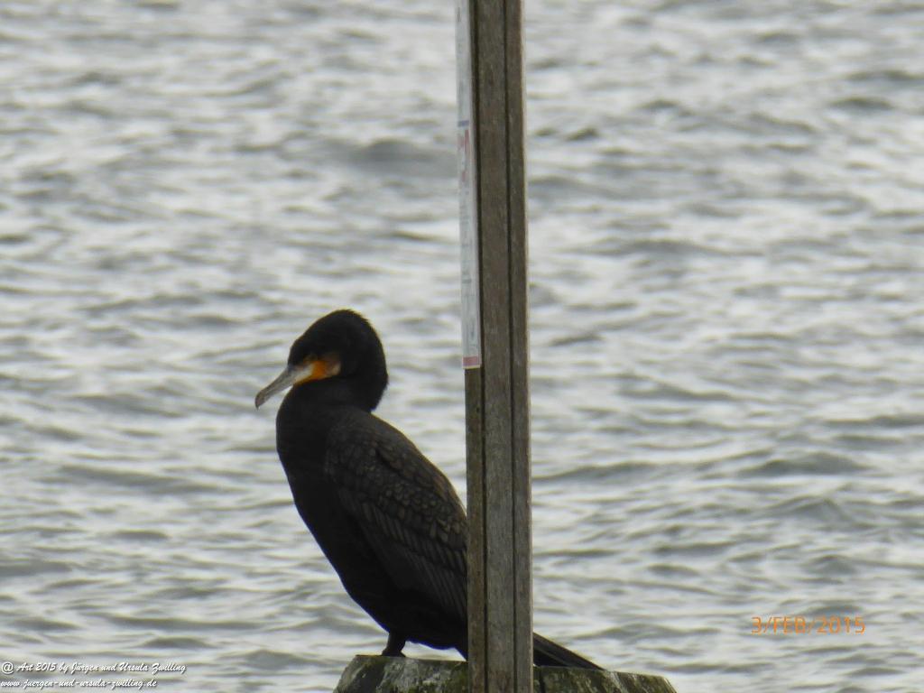 Philosophische Bildwanderung Timmendorfer Strand - Brodtener Steilufer - Travemünde Ostsee
