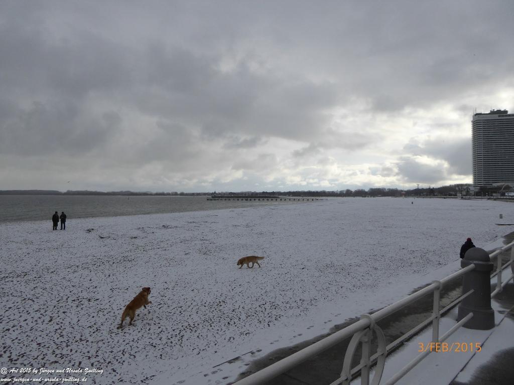 Philosophische Bildwanderung Timmendorfer Strand - Brodtener Steilufer - Travemünde Ostsee