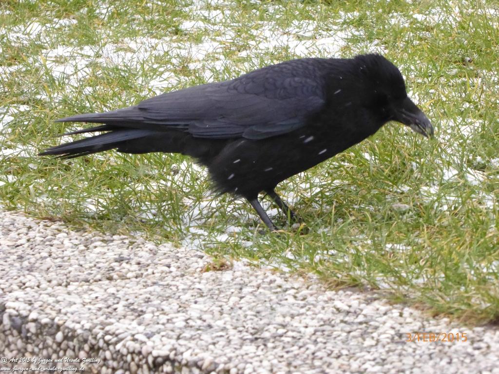 Philosophische Bildwanderung Timmendorfer Strand - Brodtener Steilufer - Travemünde Ostsee