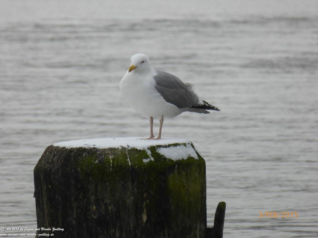 Philosophische Bildwanderung Timmendorfer Strand - Brodtener Steilufer - Travemünde Ostsee
