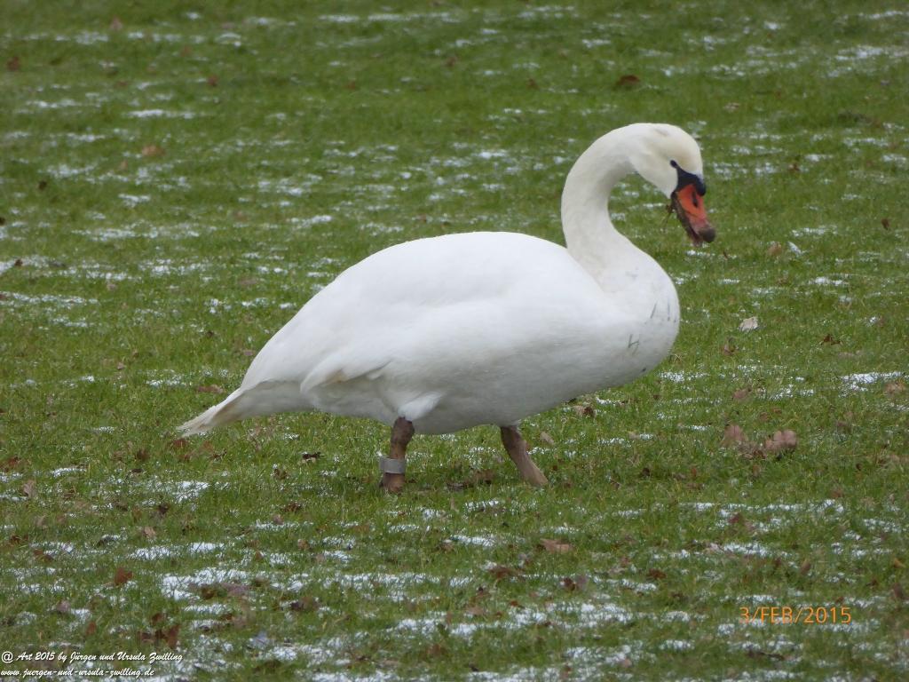 Philosophische Bildwanderung Timmendorfer Strand - Brodtener Steilufer - Travemünde Ostsee