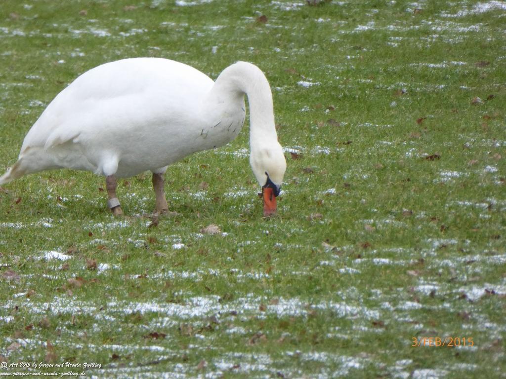 Philosophische Bildwanderung Timmendorfer Strand - Brodtener Steilufer - Travemünde Ostsee