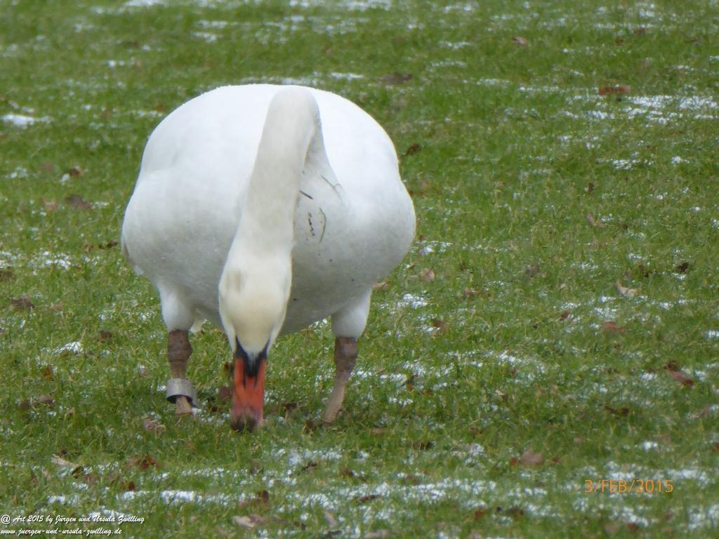 Philosophische Bildwanderung Timmendorfer Strand - Brodtener Steilufer - Travemünde Ostsee