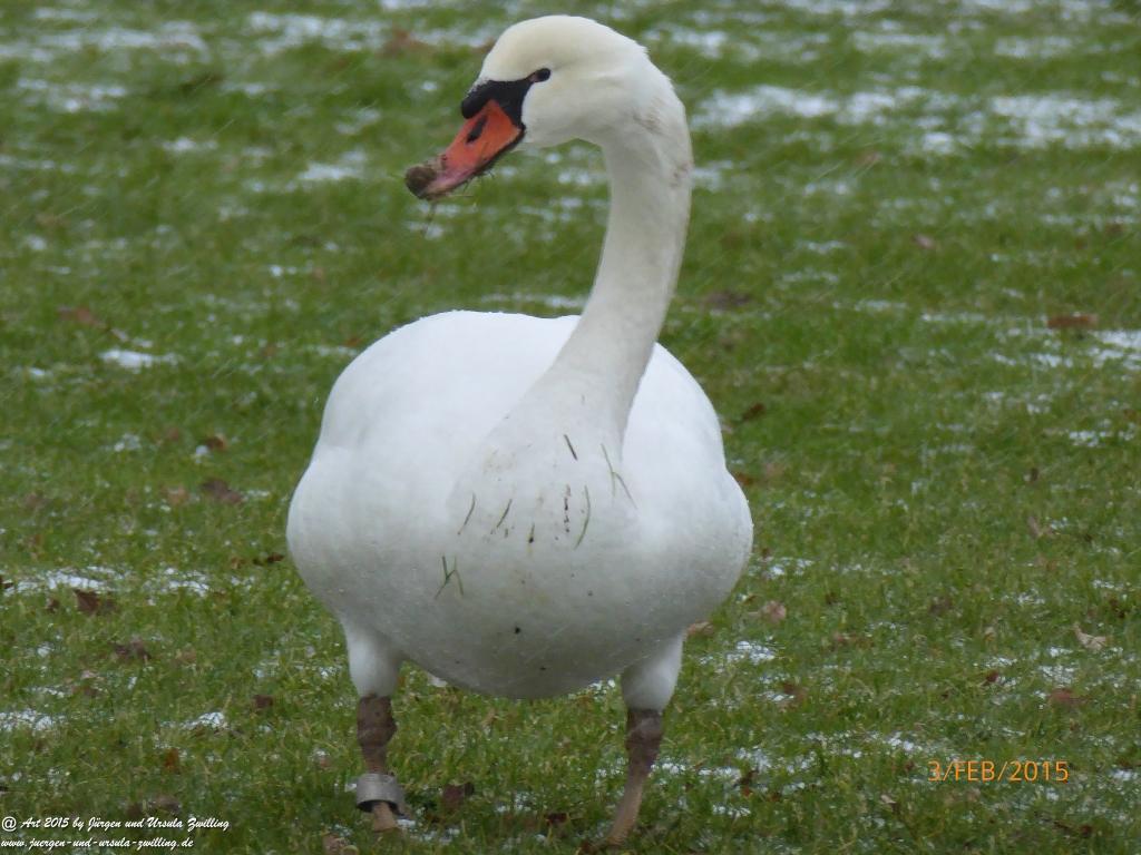 Philosophische Bildwanderung Timmendorfer Strand - Brodtener Steilufer - Travemünde Ostsee