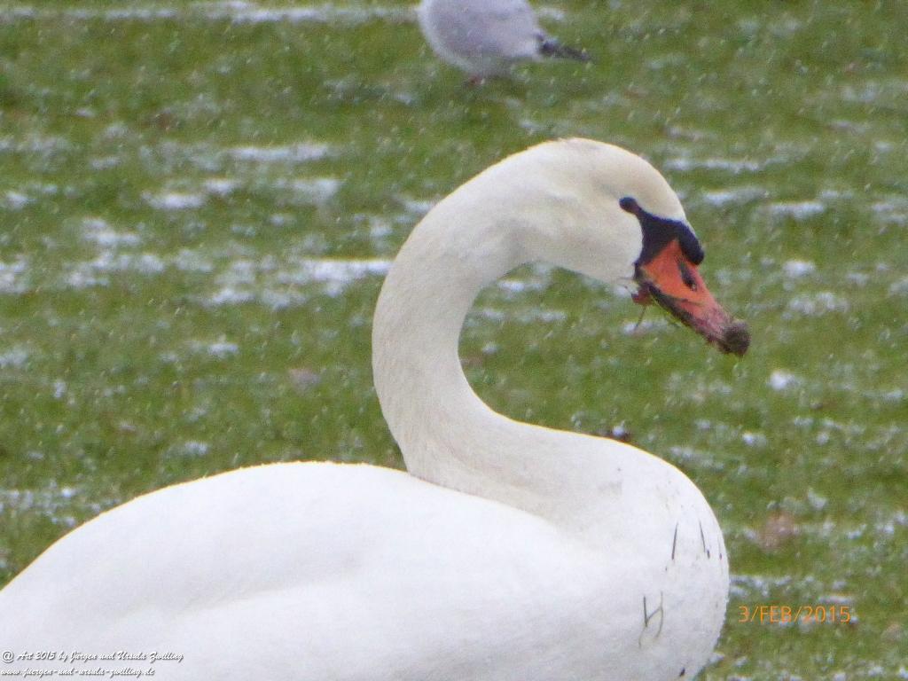 Philosophische Bildwanderung Timmendorfer Strand - Brodtener Steilufer - Travemünde Ostsee