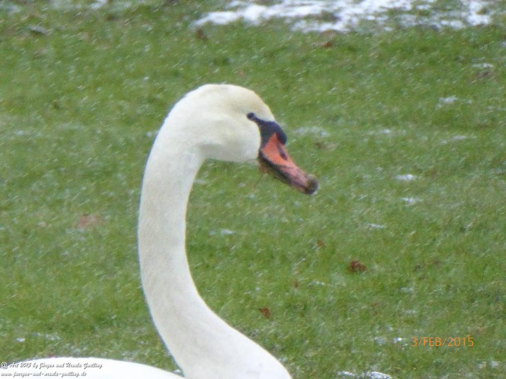 Philosophische Bildwanderung Timmendorfer Strand - Brodtener Steilufer - Travemünde Ostsee