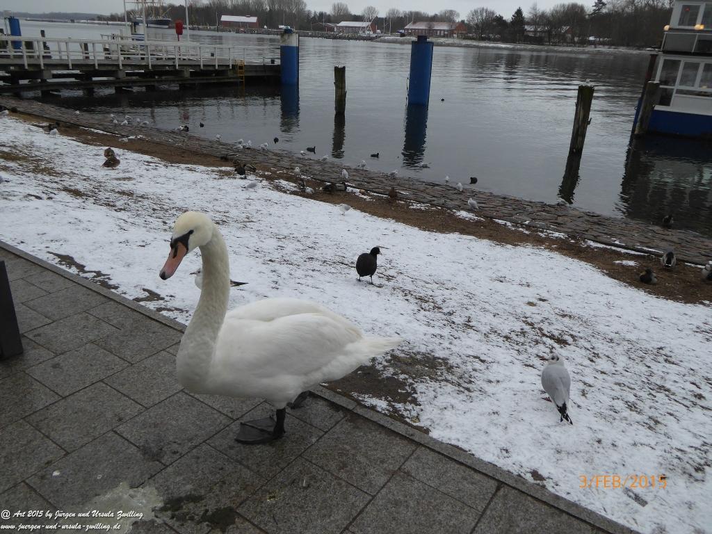 Philosophische Bildwanderung Timmendorfer Strand - Brodtener Steilufer - Travemünde Ostsee
