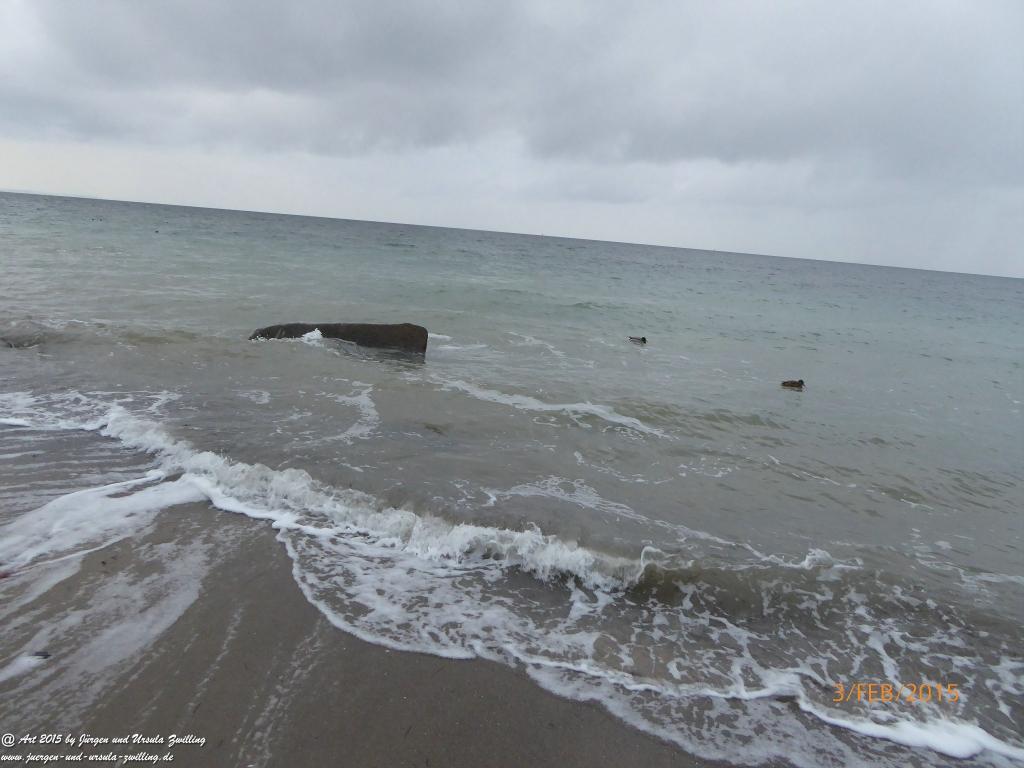Philosophische Bildwanderung Timmendorfer Strand - Brodtener Steilufer - Travemünde Ostsee