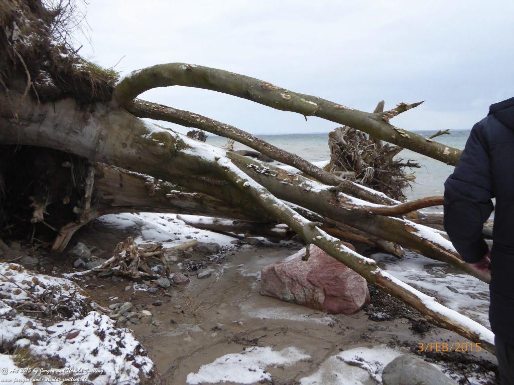Philosophische Bildwanderung Timmendorfer Strand - Brodtener Steilufer - Travemünde Ostsee