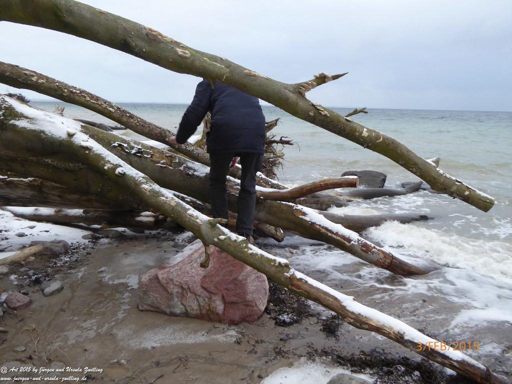 Philosophische Bildwanderung Timmendorfer Strand - Brodtener Steilufer - Travemünde Ostsee