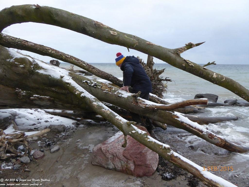 Philosophische Bildwanderung Timmendorfer Strand - Brodtener Steilufer - Travemünde Ostsee