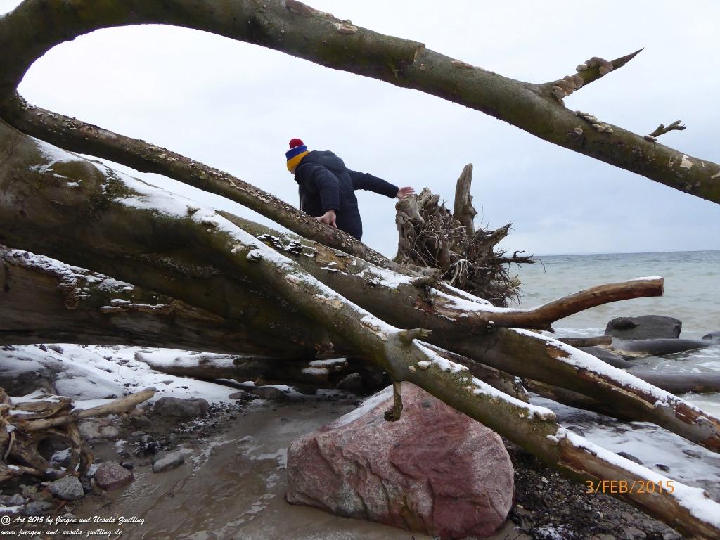 Philosophische Bildwanderung Timmendorfer Strand - Brodtener Steilufer - Travemünde Ostsee