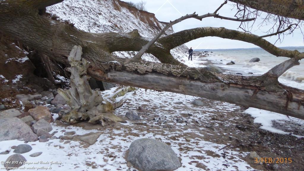Philosophische Bildwanderung Timmendorfer Strand - Brodtener Steilufer - Travemünde Ostsee