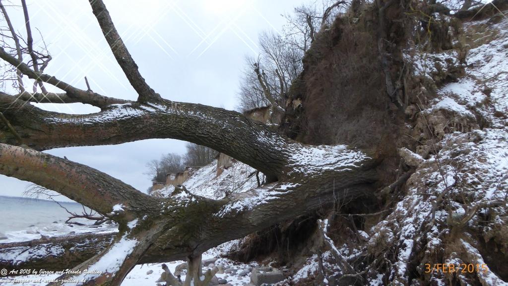 Philosophische Bildwanderung Timmendorfer Strand - Brodtener Steilufer - Travemünde Ostsee