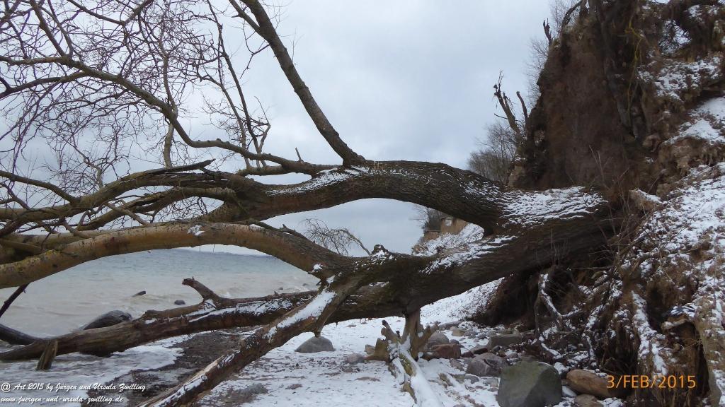 Philosophische Bildwanderung Timmendorfer Strand - Brodtener Steilufer - Travemünde Ostsee