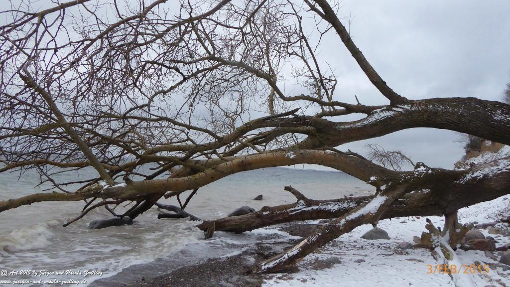 Philosophische Bildwanderung Timmendorfer Strand - Brodtener Steilufer - Travemünde Ostsee