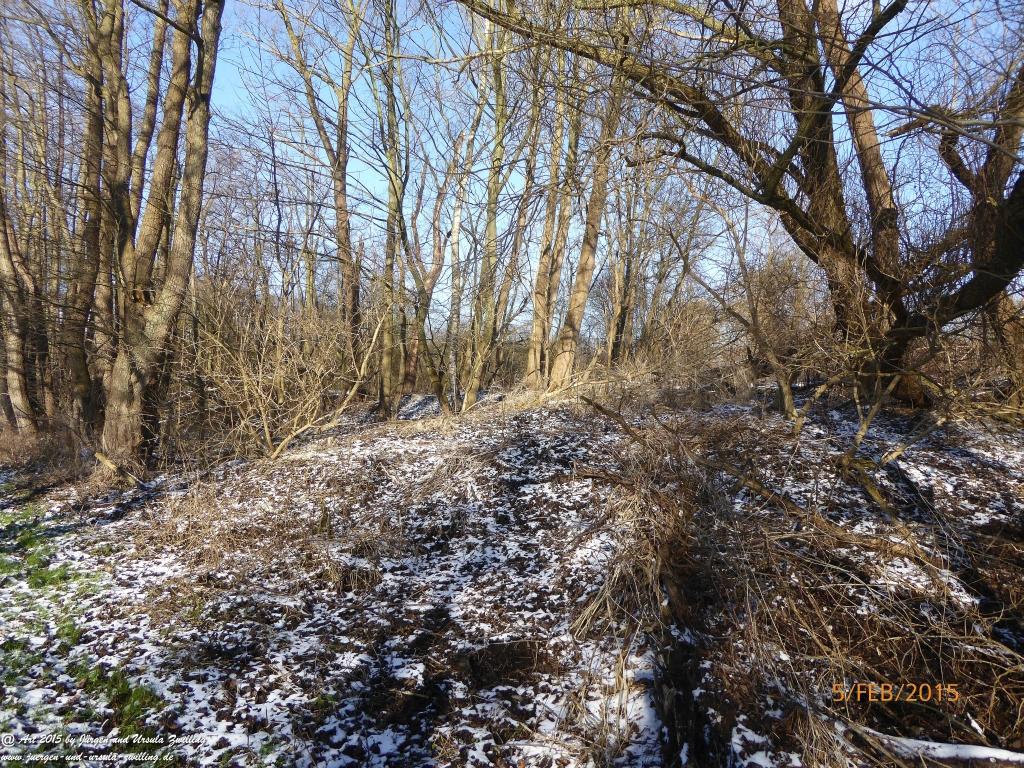 Philosophische Bildwanderung Hemmelsdorfer See - Vogelpark Niendorf - Timmerdorferstrand - Ostsee