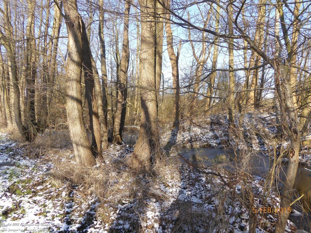 Philosophische Bildwanderung Hemmelsdorfer See - Vogelpark Niendorf - Timmerdorferstrand - Ostsee