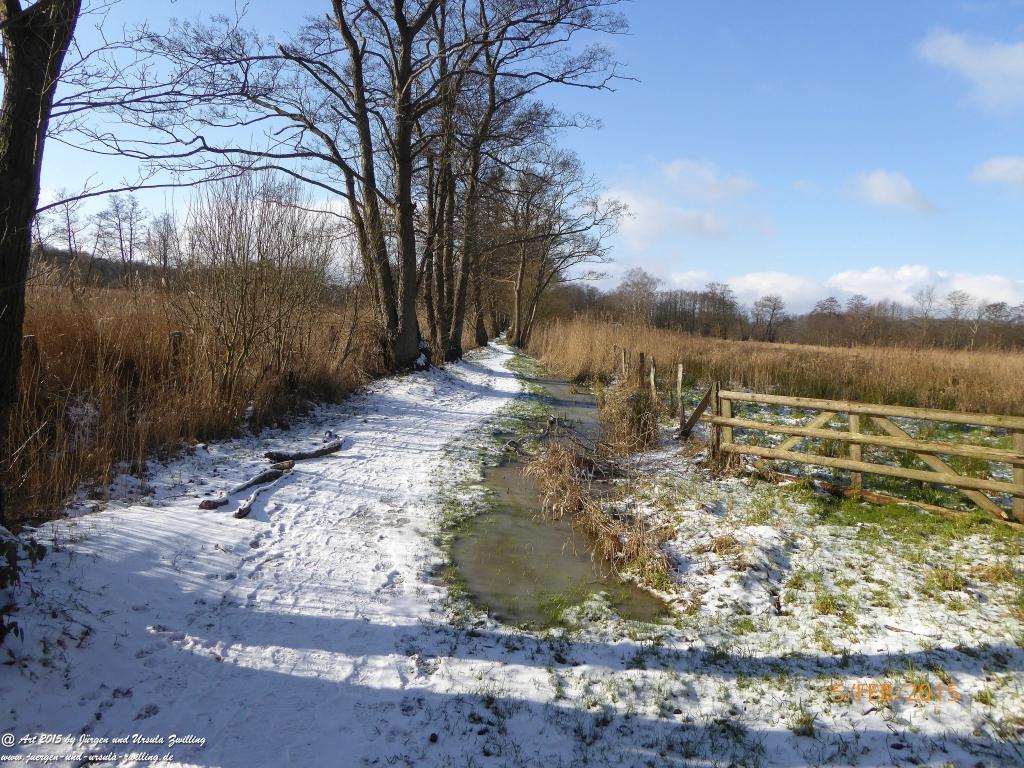 Philosophische Bildwanderung Hemmelsdorfer See - Vogelpark Niendorf - Timmerdorferstrand - Ostsee
