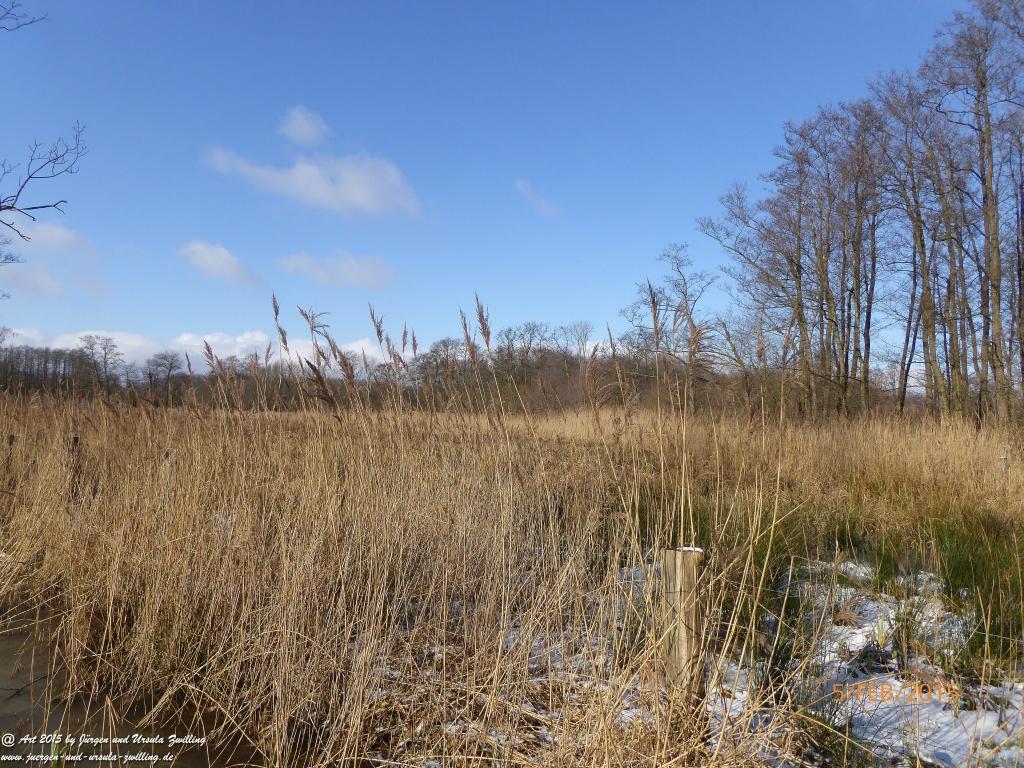 Philosophische Bildwanderung Hemmelsdorfer See - Vogelpark Niendorf - Timmerdorferstrand - Ostsee