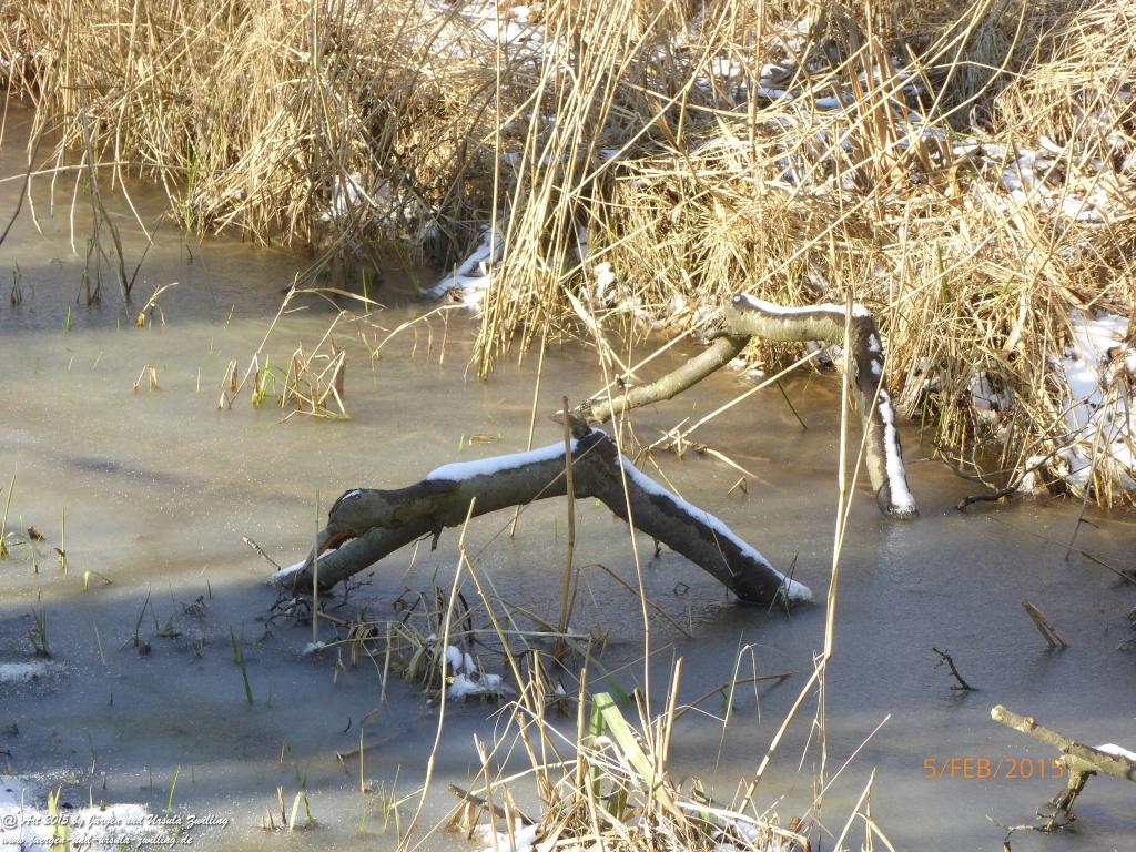 Philosophische Bildwanderung Hemmelsdorfer See - Vogelpark Niendorf - Timmerdorferstrand - Ostsee