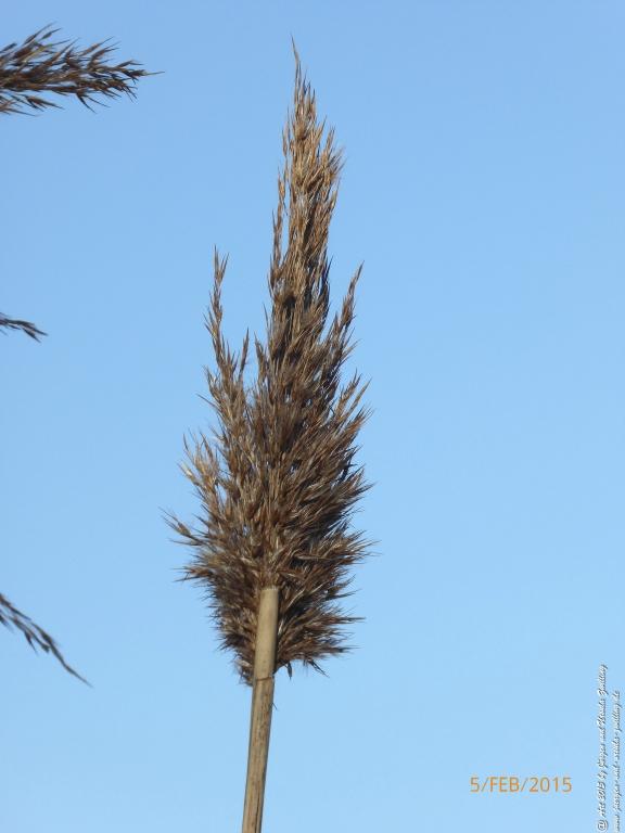 Philosophische Bildwanderung Hemmelsdorfer See - Vogelpark Niendorf - Timmerdorferstrand - Ostsee