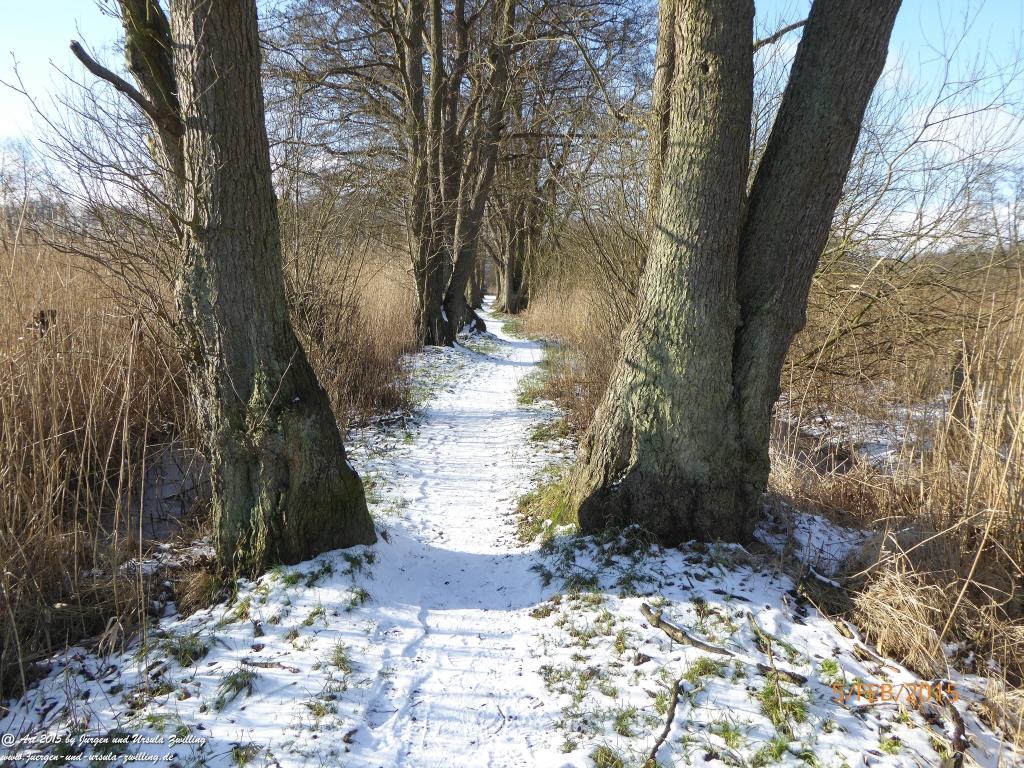 Philosophische Bildwanderung Hemmelsdorfer See - Vogelpark Niendorf - Timmerdorferstrand - Ostsee