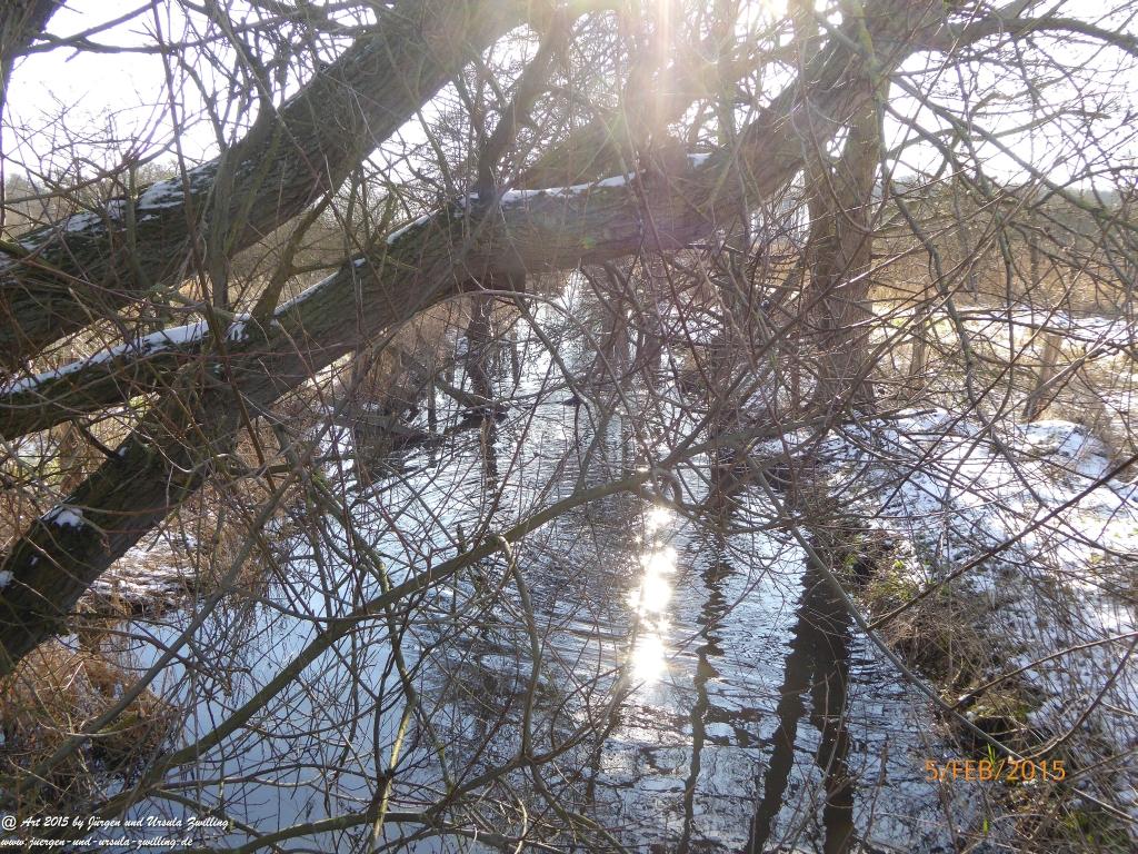 Philosophische Bildwanderung Hemmelsdorfer See - Vogelpark Niendorf - Timmerdorferstrand - Ostsee
