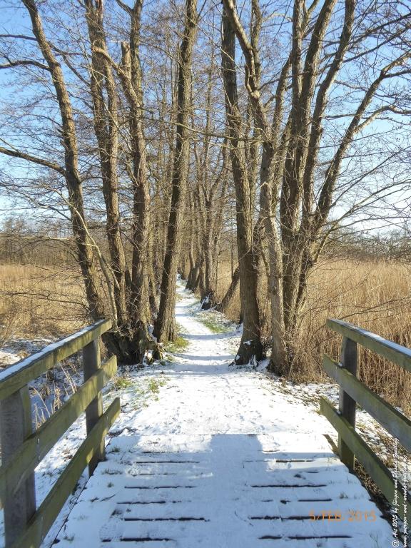Philosophische Bildwanderung Hemmelsdorfer See - Vogelpark Niendorf - Timmerdorferstrand - Ostsee