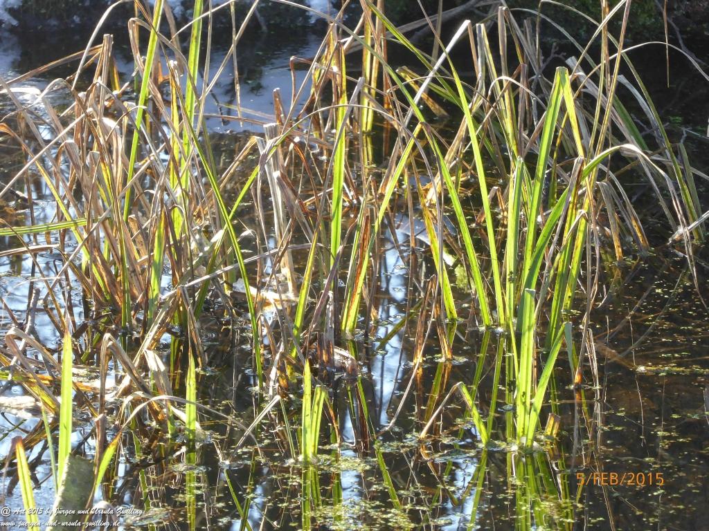 Philosophische Bildwanderung Hemmelsdorfer See - Vogelpark Niendorf - Timmerdorferstrand - Ostsee